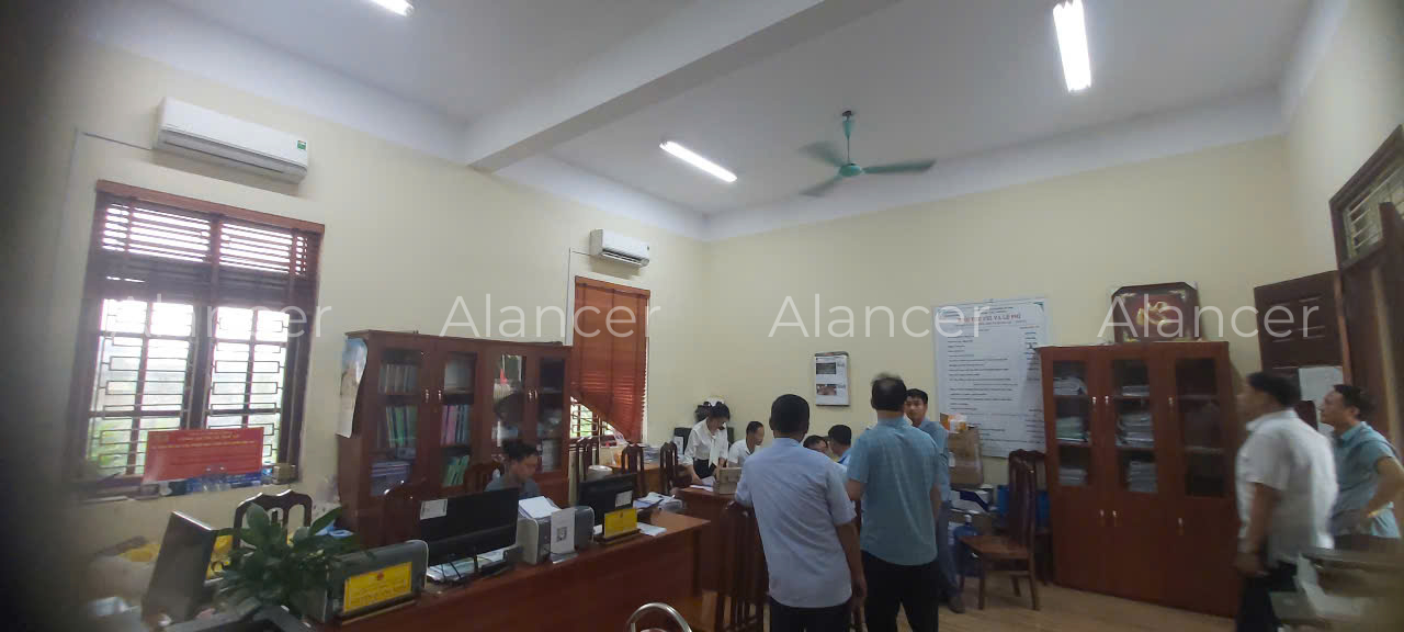 alancer5